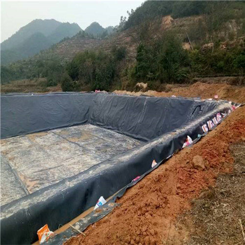 您了解魚塘防滲膜施工方法有哪些嗎？
